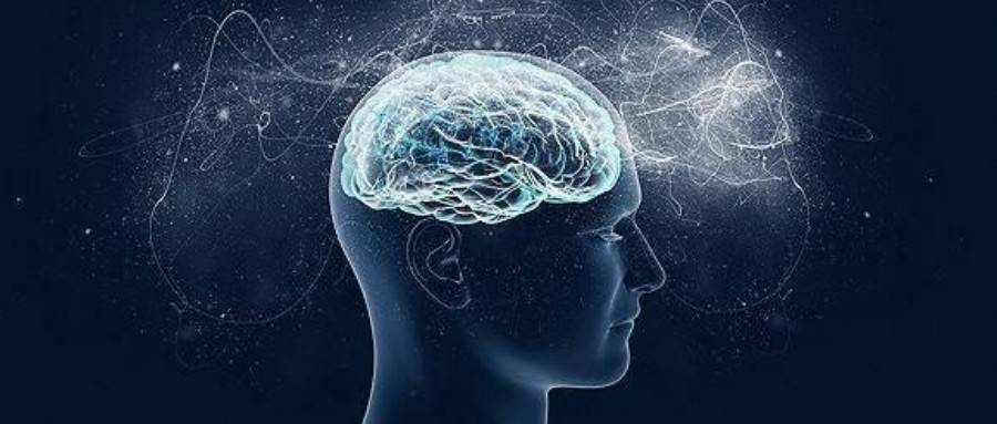 生肖智慧深度解析，聪明与否的生肖探究