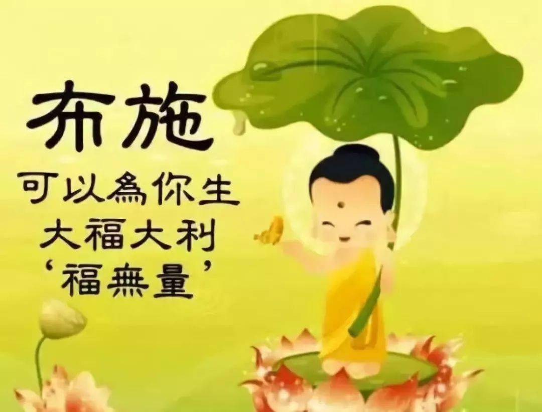 生肖奥秘与修心养性的探索，哪些生肖最擅长修心养性？