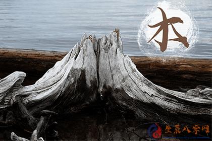 揭秘属木的生肖的神秘象征与千年传统探寻