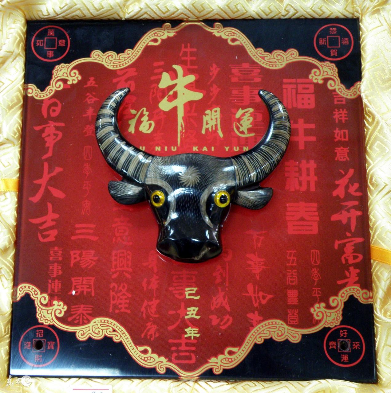 持刀探病牛背后的生肖传奇，生肖之秘与传统文化交织的传奇故事