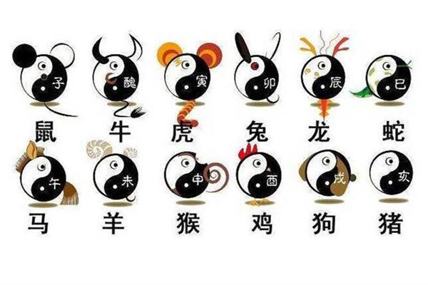 阴阳生肖，古老文化中的神秘动物象征揭秘