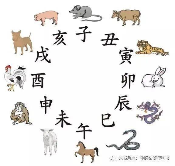 揭秘生肖奥秘，河西风起，生肖玄机揭晓