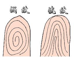 生辰八字与指纹测试，古老智慧碰撞现代科学