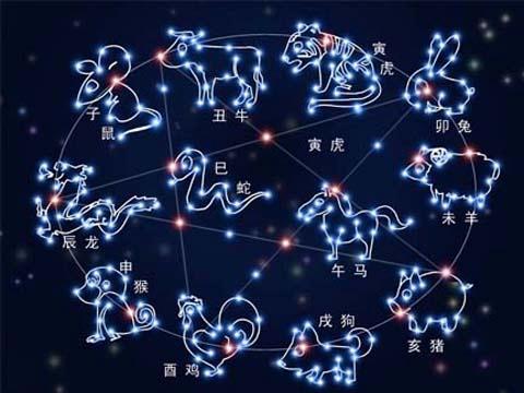 揭秘生肖奥秘，探寻睡床生肖的秘密