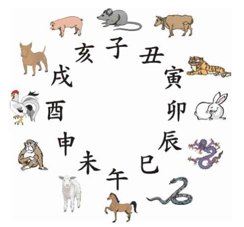 一步到位，揭秘生肖奥秘之解密生肖属性秘密