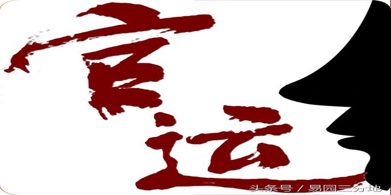 生辰八字与人生背运，揭秘命运背后的秘密