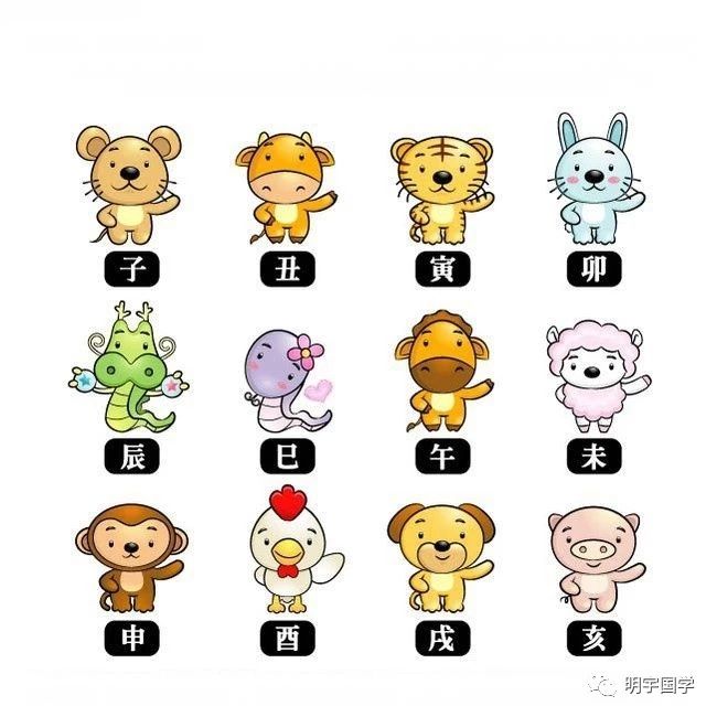 深度解析与反思，哪个生肖最容易看不起人？