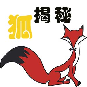 揭秘生肖间的神秘关联，兔冲鸡杀背后的生肖故事
