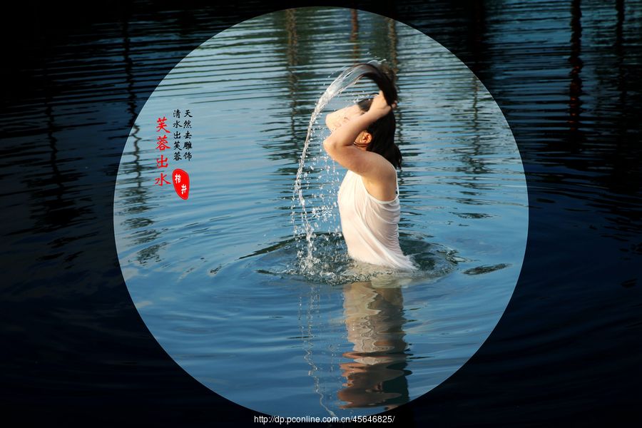 芙蓉出水揭秘生肖之美，神秘面纱下的生肖探寻