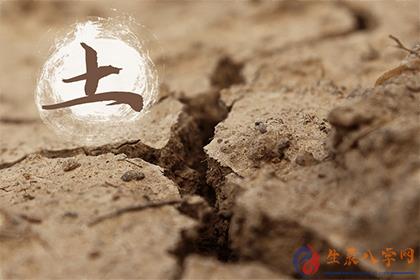 土生土长生肖揭秘，探寻生肖与地域的奥秘
