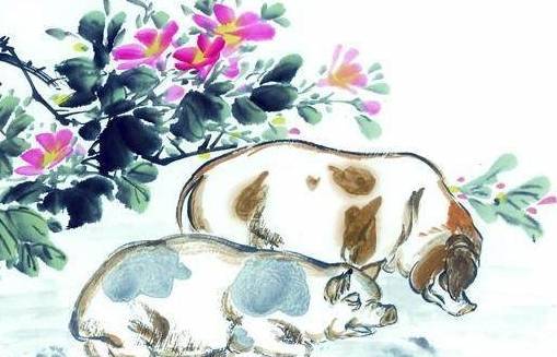 生肖命运探索，繁荣与富足的此生之旅