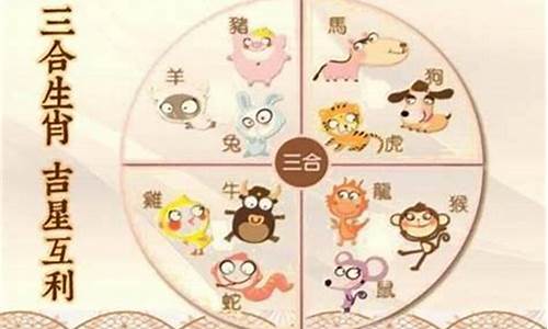 揭秘四二财相与生肖的奥秘关联，四二财相所指的生肖是什么？