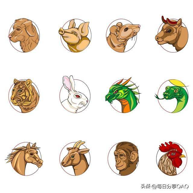 十二生肖中的神秘黑肖，探索其深层象征与魅力