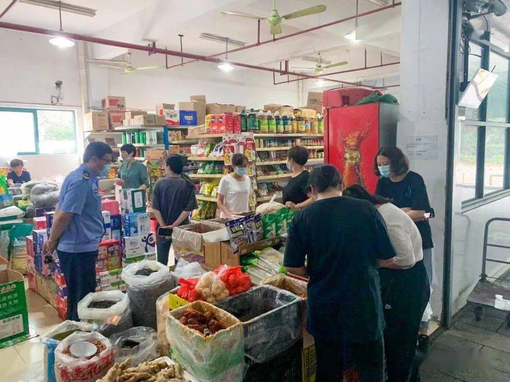 揭秘三马同槽与生肖奥秘，三马同槽生肖揭晓