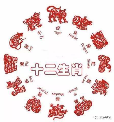 生肖文化揭秘，那些令人畏惧三分的生肖