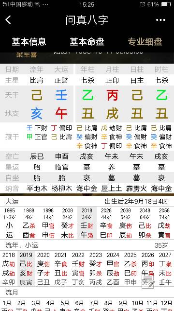 生辰八字与宠物情缘，探究人与宠物缘分之谜