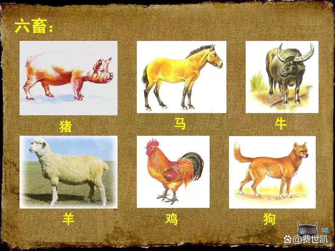 揭秘生肖王者，探寻六畜之首的奥秘，究竟是何生肖？