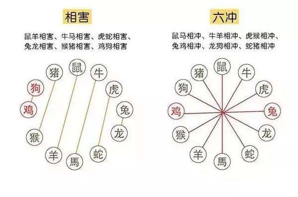 揭秘取大合双背后的生肖传奇，揭秘生肖与取大合双的关联秘密