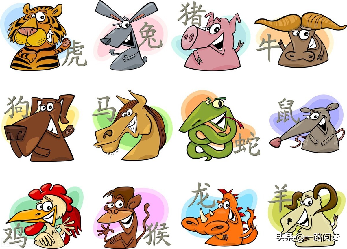 揭秘生肖神秘魅力，八口之下的生肖之谜