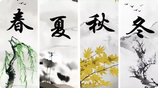 秋去冬来探生肖文化韵味，揭秘生肖背后的故事与韵味