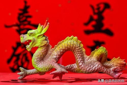 揭秘独来独往的神秘生肖，探寻生肖兽的独特性格与特质