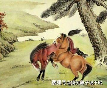 第一公子生肖探秘，揭秘第一公子的属相
