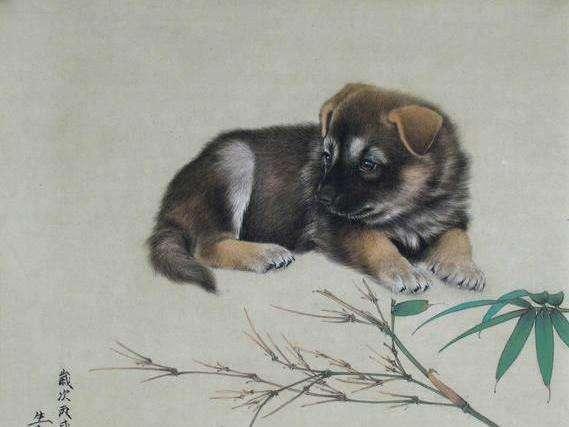 生肖狗，有情有义的象征，解读生肖情怀中的忠诚与情感纽带