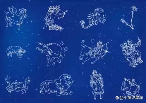 十二星座跳绳舞蹈的独特魅力与风采展示