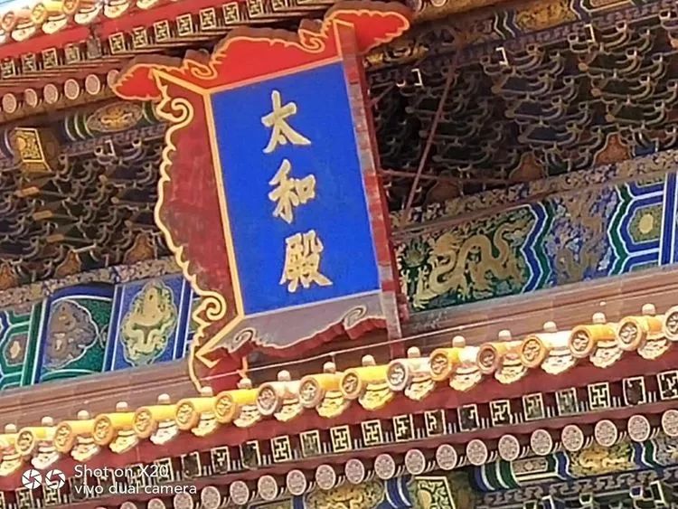 风雨肖的魅力探寻，神秘生肖风雨肖揭秘