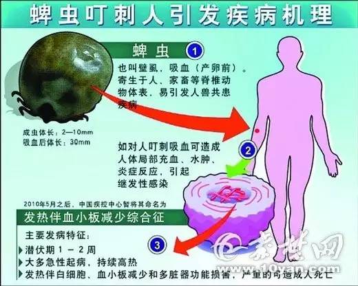 国内 第650页