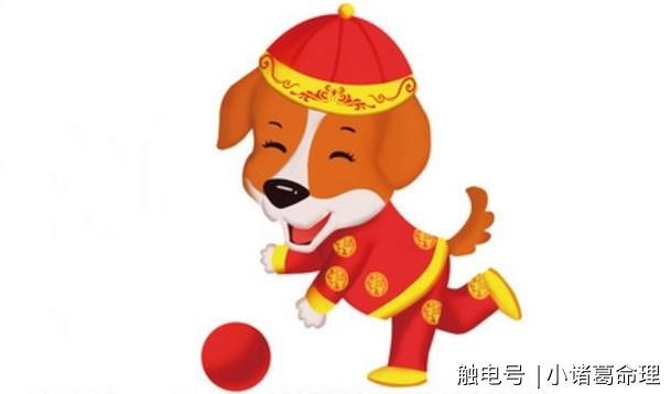 生肖狗的恋爱运势解析，爱情走向揭秘