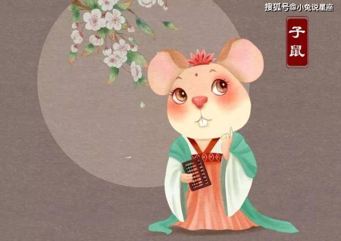 生肖鼠的奋斗历程与四季变迁，不懈奋斗与变迁的生肖鼠