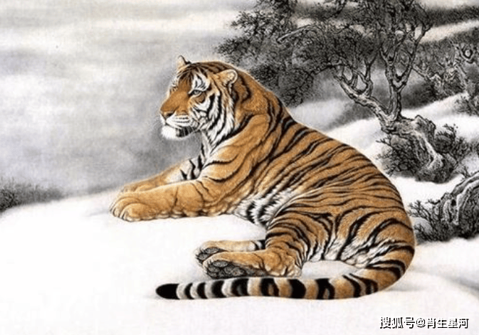 东山再起背后的生肖智慧与人生起伏