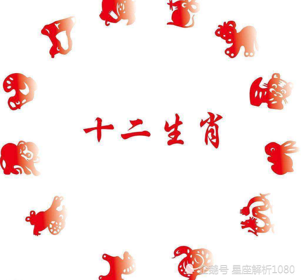 同工异曲与生肖之谜，揭秘同工异曲代表的生肖