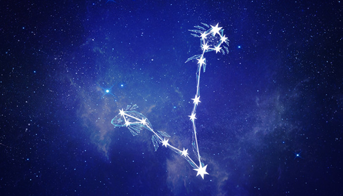 费可星座揭秘，星座与个性的神秘联系探索