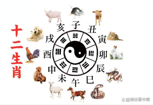 姗姗来迟的生肖，探索生肖与时间的神秘关联揭秘生肖与时间之谜，姗姗来迟的背后含义
