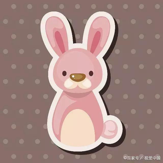 生肖精神贡献大探讨，揭示最有功劳的生肖之最