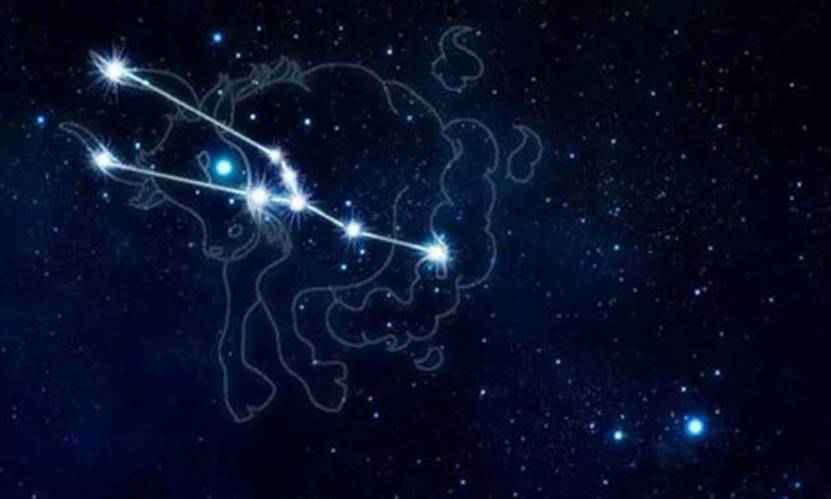 单伟建星座探索，个性与成就的背后揭秘