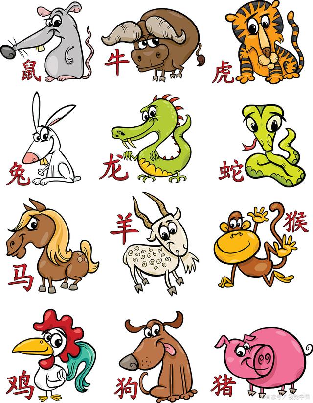 十二生肖中的重色轻友动物揭秘