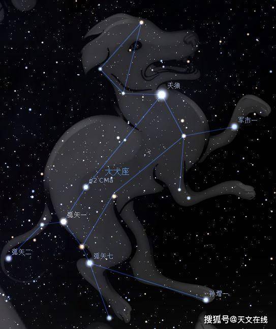 狗狗脸星座分析，揭秘狗狗面孔下的星座奥秘