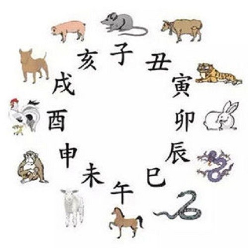 每日五更准时起的生肖，勤奋与节律的典范