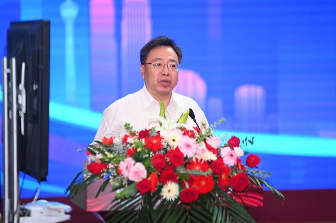 揭秘生肖智慧巅峰，探寻最聪明的生肖之王