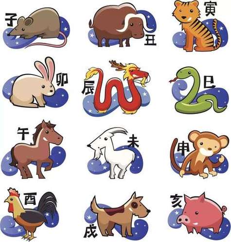 探寻细长身躯生肖的神秘象征与文化寓意