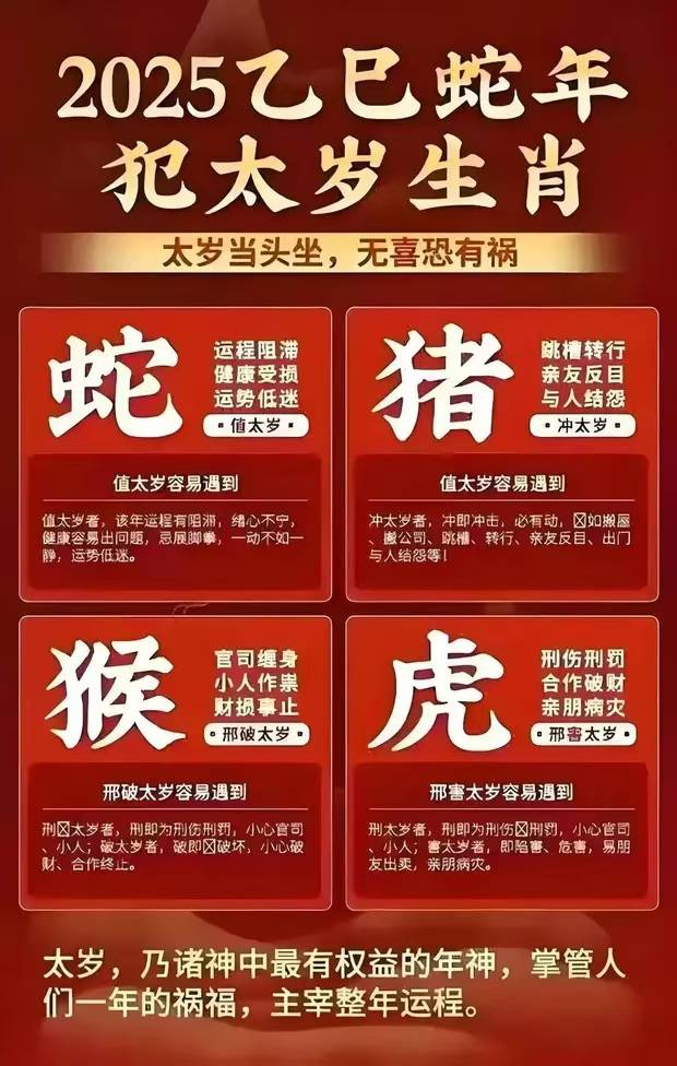 老高解读生肖运势，洞悉未来走向，把握人生关键机遇。