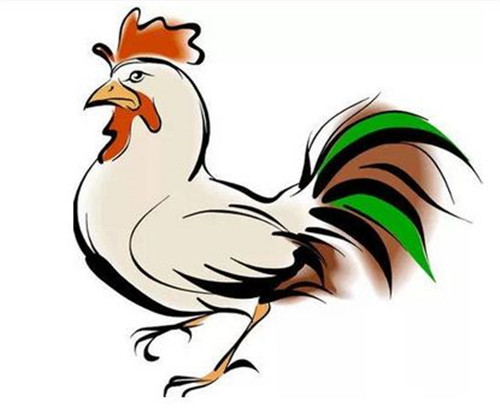 生肖鸡在2024年每月运势详解及展望
