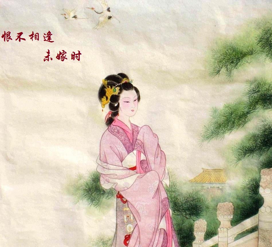 恨不相逢未嫁时生肖之谜揭秘