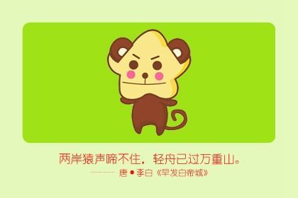 猴鼠生肖运势深度解析，洞悉你的生肖运势走向