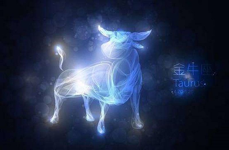 揭秘水瓶隐藏星座金牛，个性与魅力的独特交融