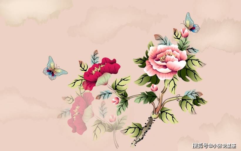 人面桃花打一生肖，探寻生肖与桃花的奇妙缘分