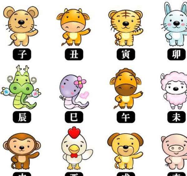 十二生肖的细数与神秘文化意义，揭秘背后的故事和数字秘密